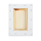 Холст на подрамнике, 13 х 18 см, 100%, хлопок, 380 г/м2, среднее зерно - фото 24549416