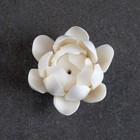 Подставка для благовоний TAKE IT EASY «Лотос белый», 6×4 см - Фото 2