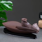 Подставка для благовоний TAKE IT EASY «Лотос», набор благовоний конусы, стелющийся дым, 22×8 см - Фото 5