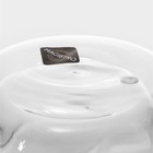 Стакан стеклянный с двойными стенками Magistro «Дуо. Волна», 260 мл, 7,5×11 см - фото 24579023