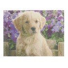 Алмазная мозаика на подрамнике с полным заполнением «Щенок в цветах», 30х40см - фото 45700946