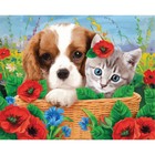 Алмазная мозаика на подрамнике с полным заполнением «Котёнок и щенок», 40х50см - фото 9759947