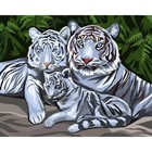 Алмазная мозаика с полным заполнением на подрамнике «Белые тигры», 40 × 50 см - Фото 2