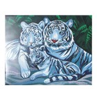 Алмазная мозаика с полным заполнением на подрамнике «Белые тигры», 40 × 50 см - Фото 4