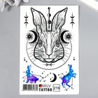 Татуировка на тело "Космический кролик" 10х15 см - Фото 1