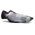 Игрушка "Рыба моей мечты!" с кошачьей мятой, арапайма, 20 см - Фото 2