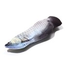 Игрушка "Рыба моей мечты!" с кошачьей мятой, арапайма, 20 см - Фото 4