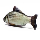 Игрушка «Рыба моей мечты!» с кошачьей мятой, карась, 20 см - Фото 3