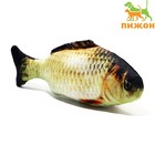 Игрушка «Рыба моей мечты!» с кошачьей мятой, сазан, 20 см - Фото 1