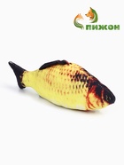 Игрушка «Рыба моей мечты!» с кошачьей мятой, сазан, 20 см - Фото 1