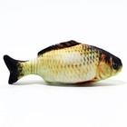 Игрушка «Рыба моей мечты!» с кошачьей мятой, сазан, 20 см - Фото 2