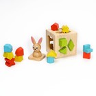 Логический центр «Зайка» 21 × 13,7 × 14 см - фото 24360594