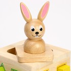 Логический центр «Зайка» 21 × 13,7 × 14 см - фото 24360595