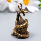 Сувенир латунь "Змея со слитком золота" 3х1,8 см - фото 9762606