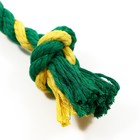 Грейфер канатный  Doglike Dental Knot 2 узла, 260*40*40, желтый/зеленый 7917376 - фото 16533644