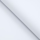 Фоамиран, белый, 1 мм, 60 х 70 см - Фото 2