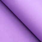 Фоамиран, фиолетовый, 1 мм, 60 х 70 см - Фото 2