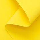 Фоамиран, желтый, 1 мм, 60 х 70 см - Фото 1