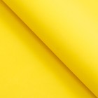 Фоамиран, желтый, 1 мм, 60 х 70 см - Фото 2