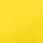 Фоамиран, желтый, 1 мм, 60 х 70 см - Фото 3