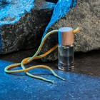 Ароматизатор подвесной Grand Caratt, пина колада, 4 мл - Фото 2