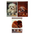 Блокнот А5, 40 листов на гребне "Собаки", обложка ламинированный картон, блок 55 г/м2, МИКС - фото 9565859