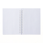 Блокнот-престиж А6, 80 листов на гребне, обложка ламинированный картон, МИКС - Фото 13