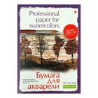 Бумага для акварели А5, 20 листов "Профессиональня серия", блок 200 г/м2, МИКС - фото 9414659