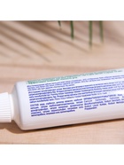 Зубная паста Весна Семейная классическая, 90 г, без футляра - фото 809221816