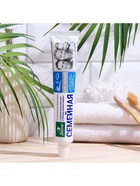 Зубная паста «Весна», фтор + кальций, для всей семьи, 90 г - Фото 3