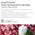Постельное бельё Этель дуэт Christmas time 143х215 см - 2 шт, 220х240 см, 70х70 см -2 шт 7733870 - фото 14652185