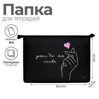Папка для труда, А4, пластиковая, 23×32.5×5.5 см «Поцелуй»