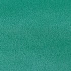 Бумага перламутровая, изумрудная, 0,5 х 0,7 м (комплект 10 шт) - фото 40407856