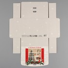Коробка складная двухсторонняя «Новогоднее окно», 16.5 × 12.5 × 5 см, БЕЗ ЛЕНТЫ - Фото 7