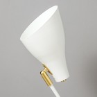Настольная лампа "Томас" 1х40Вт Е27 белый 25х15,5х54см RISALUX - Фото 7