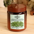 Банная маска для волос натуральная «Березовые почки» с комплексом витаминов, 500 г - Фото 3