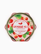 Мёд кремовый «Земляника», с земляникой, 120 г - Фото 3