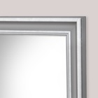Зеркало настенное "Люкс", 50х100 см - фото 24240508