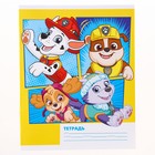 Тетрадь в клетку 12 листов, 5 видов МИКС, обложка мелованный картон, «Щенячий патруль» - Фото 4