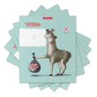 Тетрадь 24 листа в клетку ErichKrause "Лама", обложка мелованный картон, блок офсет, белизна 100% белизны, МИКС - фото 21614875