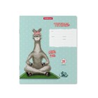 Тетрадь 24 листа в клетку ErichKrause "Лама", обложка мелованный картон, блок офсет, белизна 100% белизны, МИКС - фото 21614878