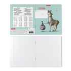 Тетрадь 24 листа в клетку ErichKrause "Лама", обложка мелованный картон, блок офсет, белизна 100% белизны, МИКС - фото 21614881