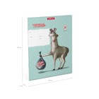 Тетрадь 24 листа в клетку ErichKrause "Лама", обложка мелованный картон, блок офсет, белизна 100% белизны, МИКС - фото 21614882