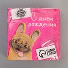 Салфетки бумажные «С Днём Рождения», пёсель, 24 х 24 см, 20 шт (комплект 3 шт) - фото 25304530