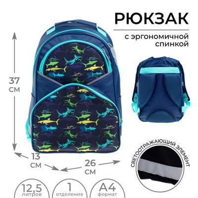 Рюкзак школьный, 37 х 26 х 13 см, эргономичная спинка, Calligrata АН "Акулы"