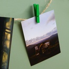 Набор прищепок для декора 50 шт., зелёные — 2,5 см - Фото 2