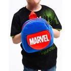 Рюкзак плюшевый на молнии, с карманом, 19 х 22 см "Супер-герои", Мстители - фото 6613632