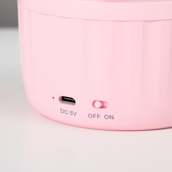 Лампа настольная "Мини жук" LED 3 режима 6,4Вт USB розовый 10х10х37,5 см RISALUX - фото 1886850515