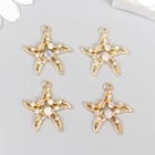 Декор для творчества металл, стразы "Морская звезда с ракушками" золото 2,4х2,2 см (комплект 4 шт) - фото 21616657