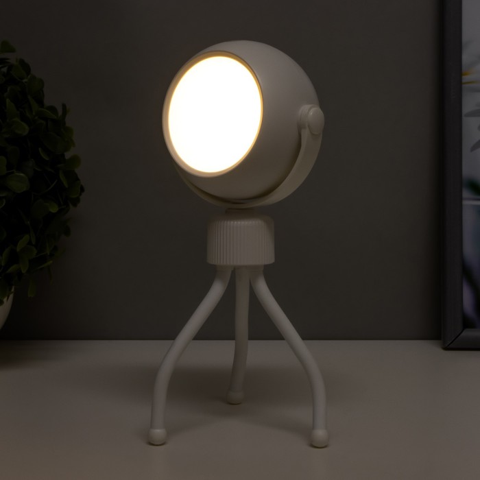 Настольная лампа "Октопус" LED 2Вт USB АКБ белый 6х6х20,5 см RISALUX - фото 1886850688